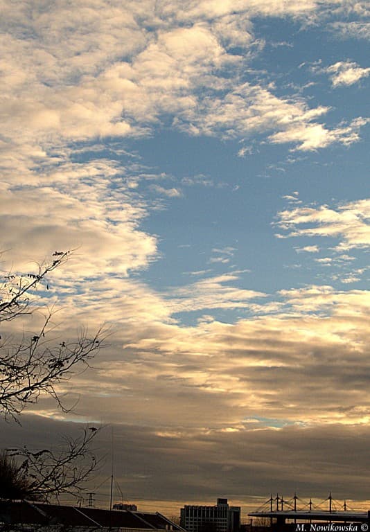 Le matin
