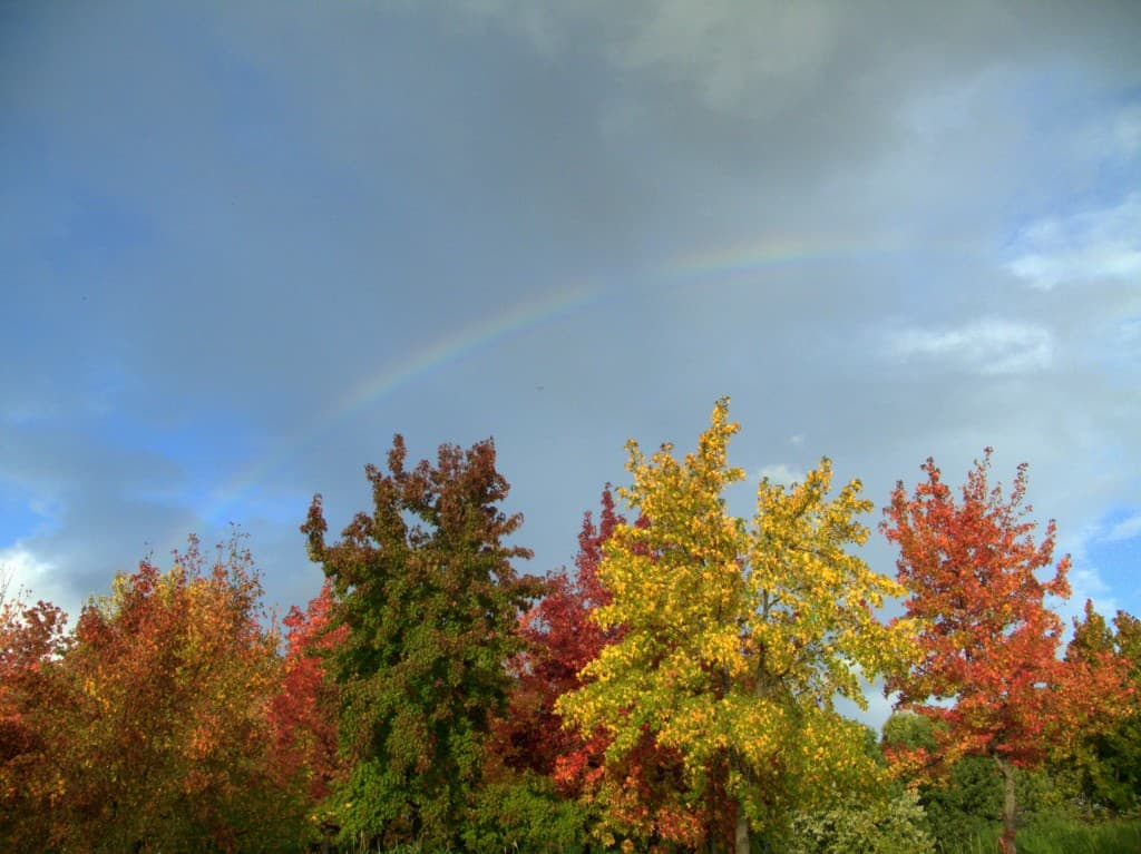 Les belles couleurs de l'automne