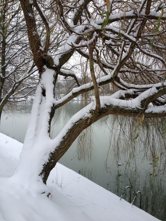 Les bords de Marne