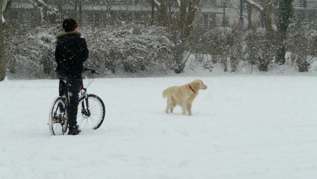 Les joies de la neige...
