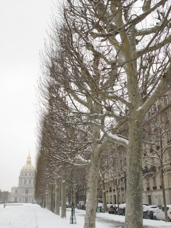 ligne de neige