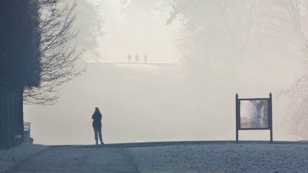 Matin gélé au parc de Sceaux