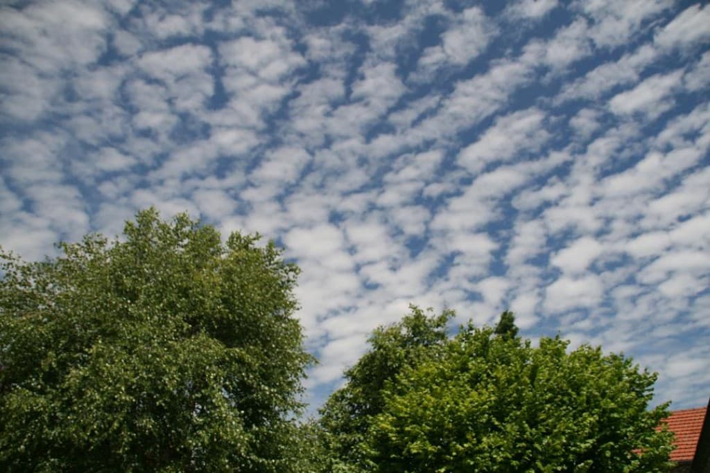 Moutons sur Saint-Leu-la-Forêt