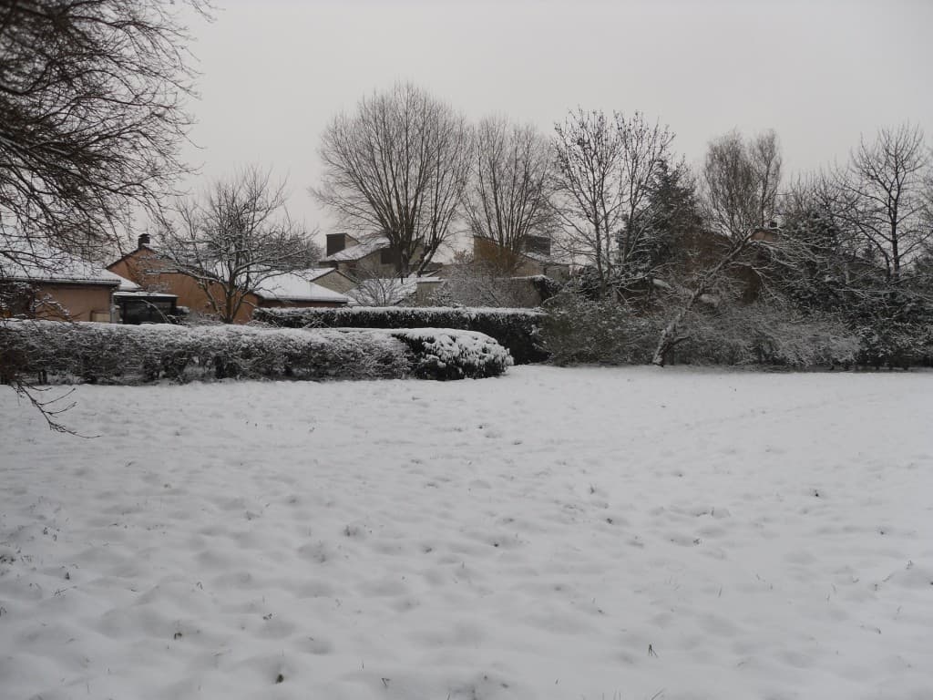 Neige-10cm
