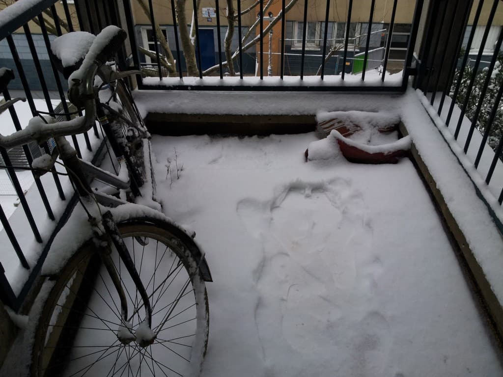 Neige