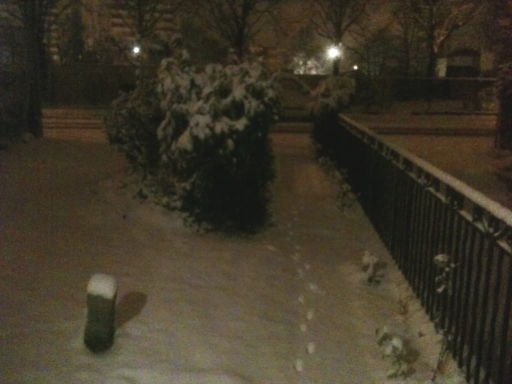 Neige !!