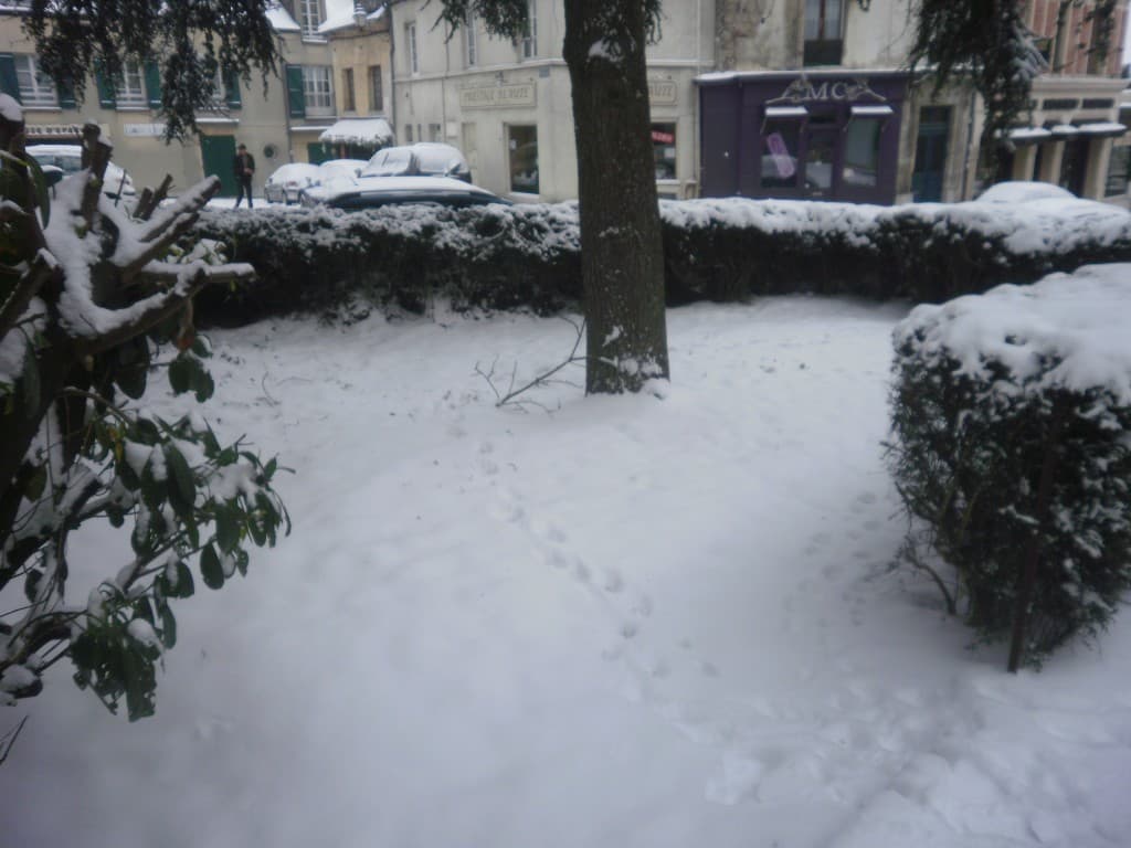 Neige 
