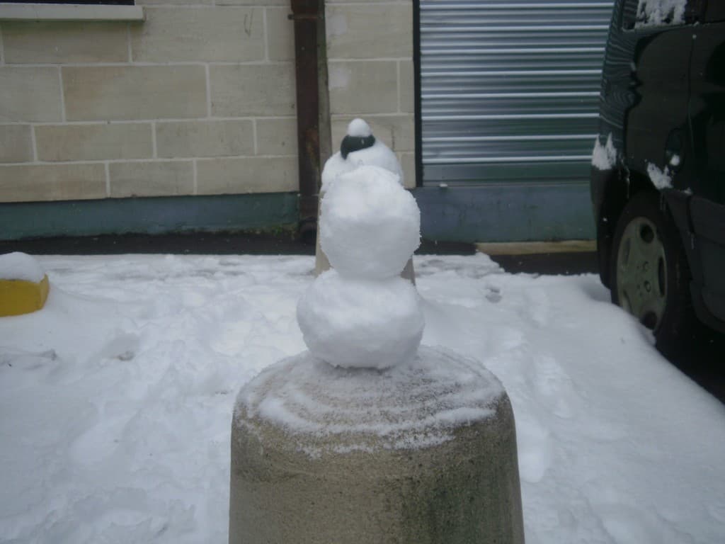 Neige