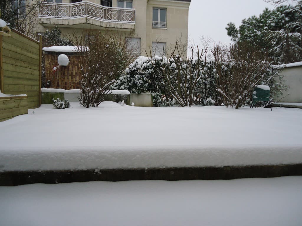Neige à