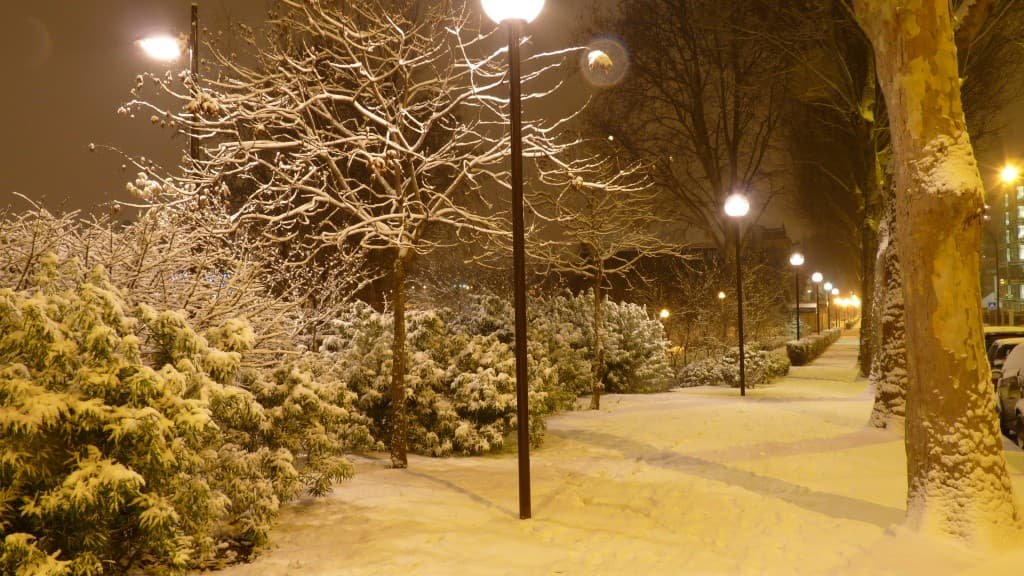 Neige à Courbevoie - 5 cm