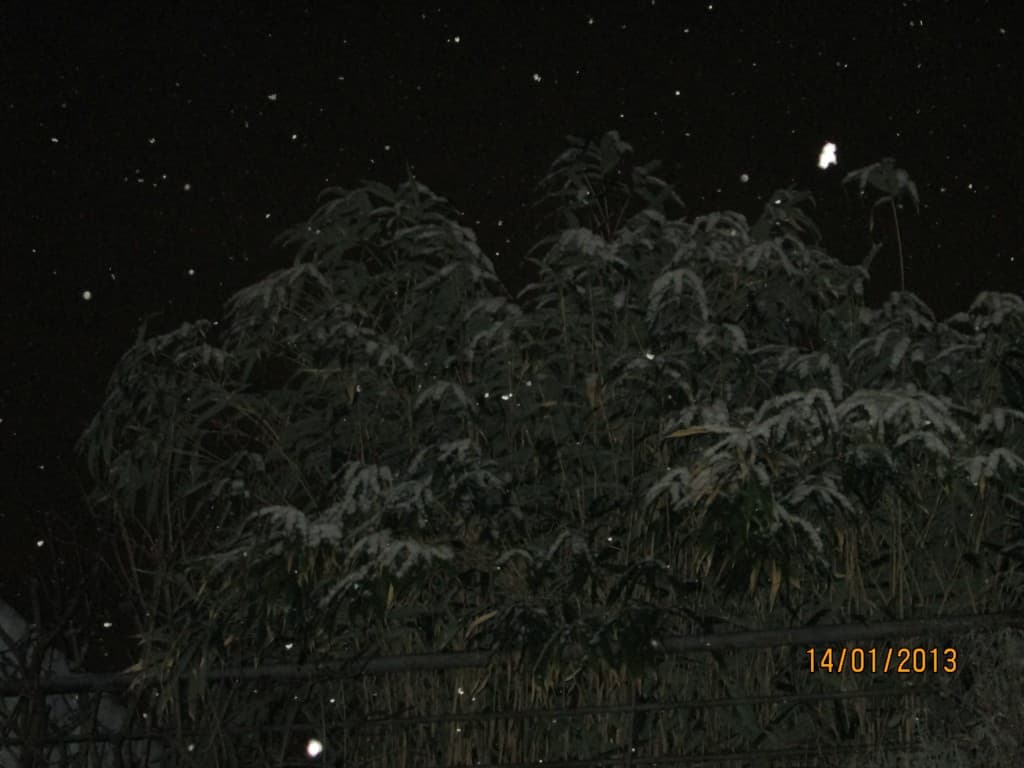 Neige à Montreuil!