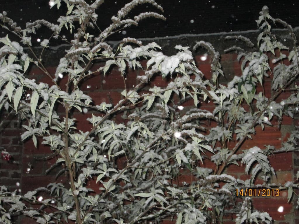 Neige à Montreuil!