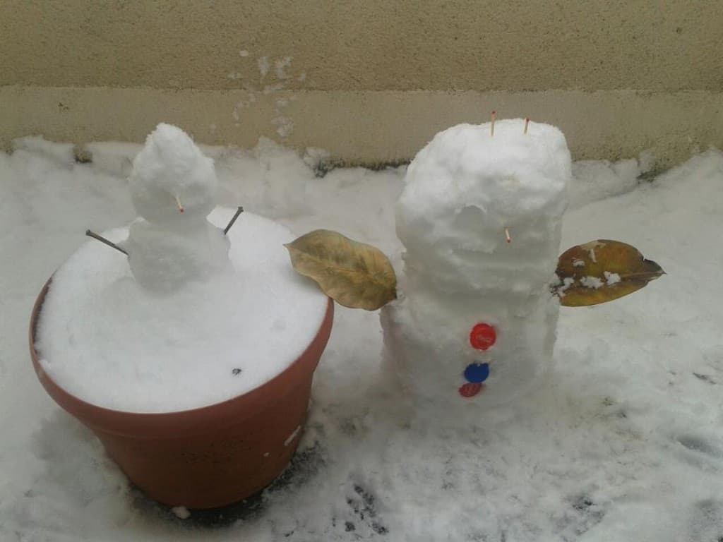 Neige du 20/01/2013