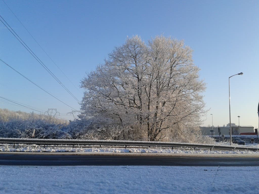 neige du soir ( 15 , 16 /01 )