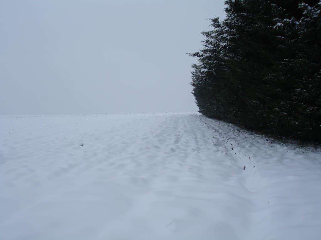 neige meringuée 2!!