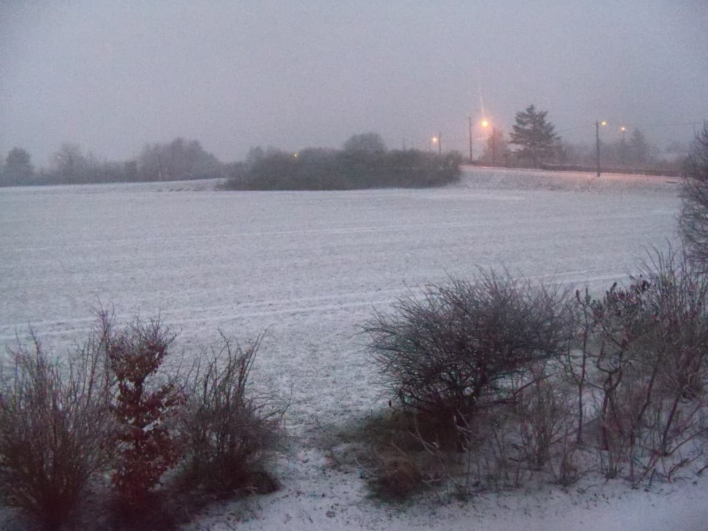 Neige Versigny