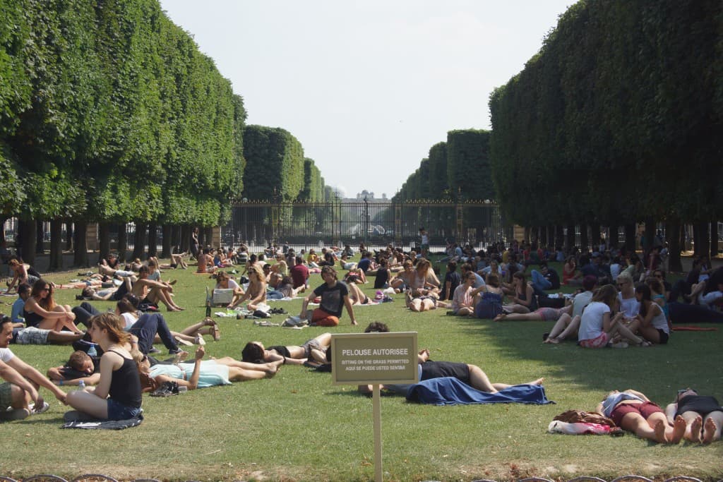 Ombre et lumière au jardin du Luxembourg