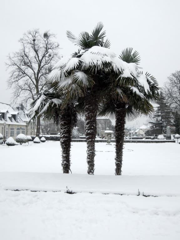 Parc de l'Hôtel de Ville