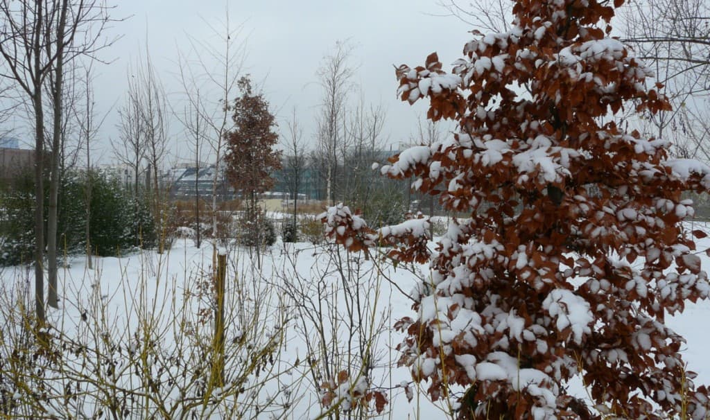 Parc des impressionites sous la neige...