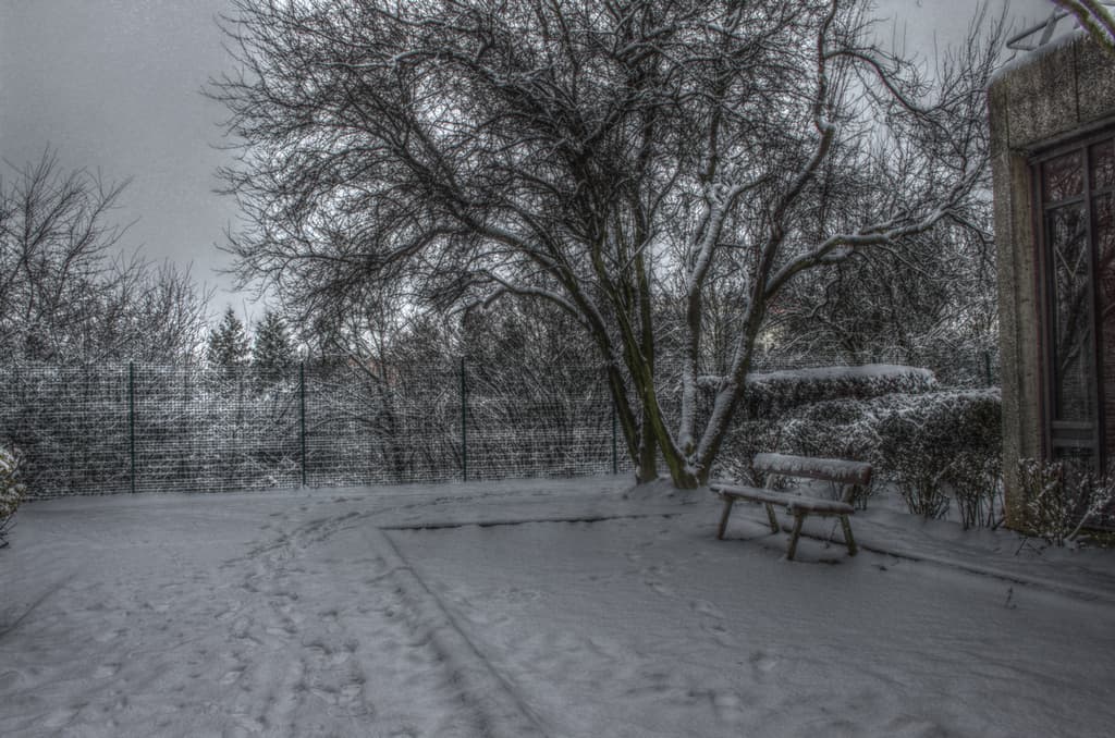 parc enneigé