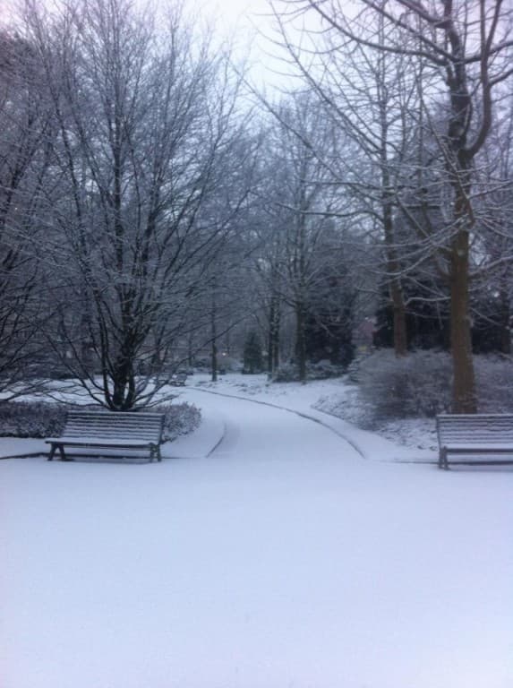 parc Joliot Curie