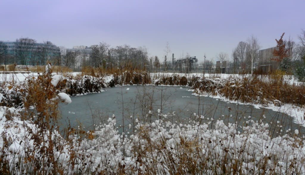 Paris aux allures de grand nord...
