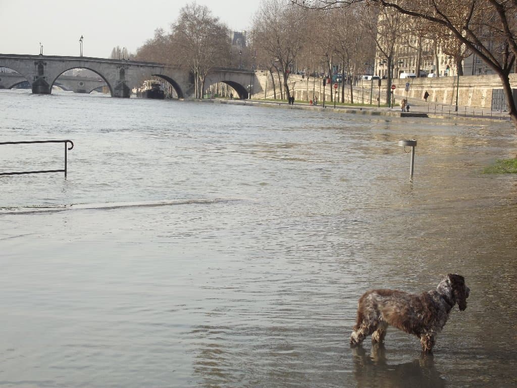 Paris plage
