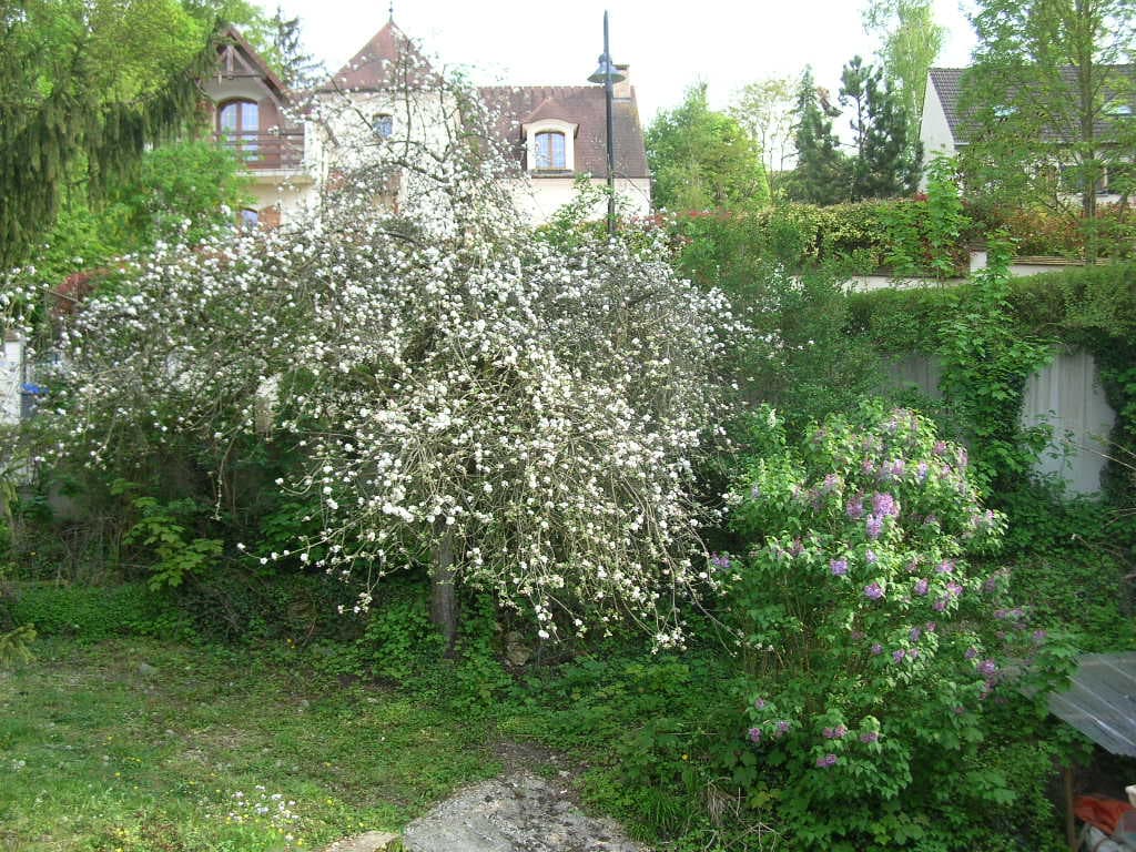 Photo de printemps