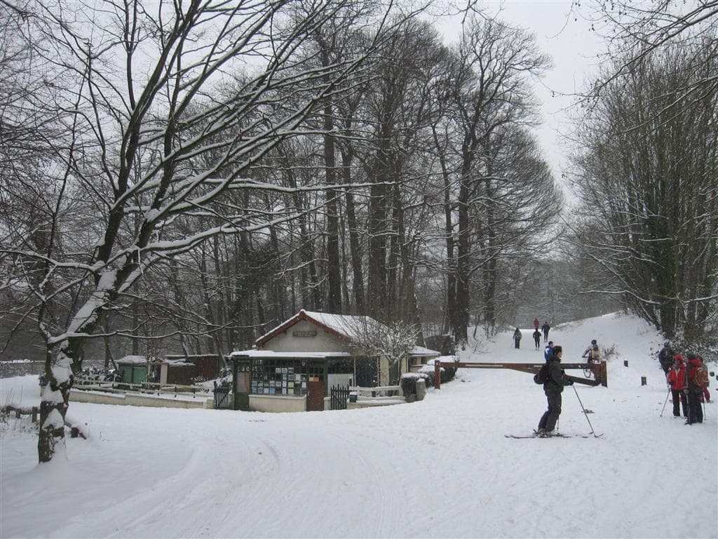Piste verte au bois d'Meudon