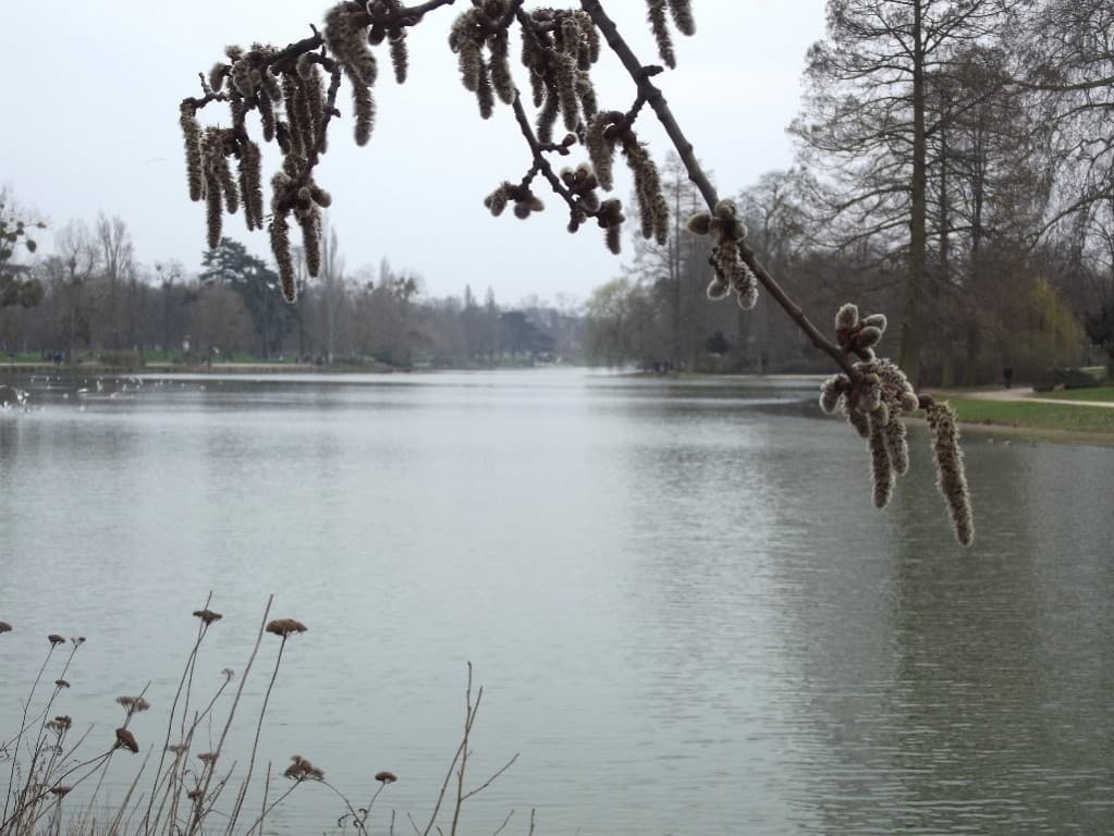 Printemps triste