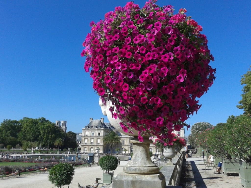 pureté des couleurs