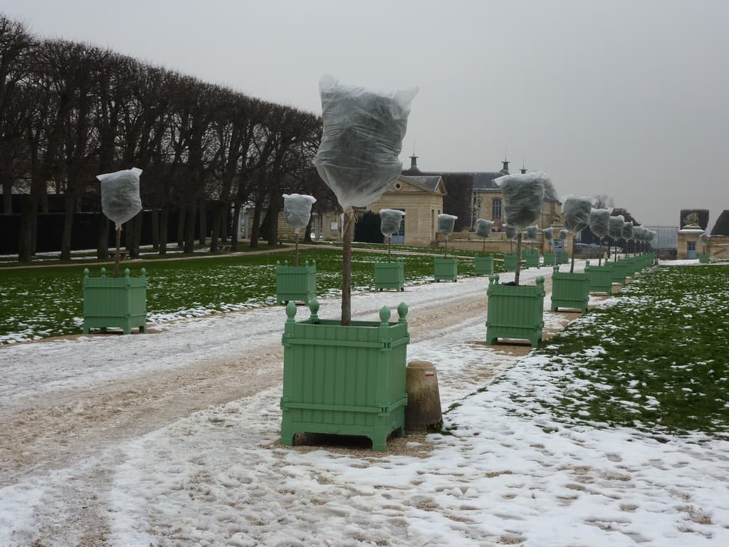 Quartier d'hiver pour les orangers