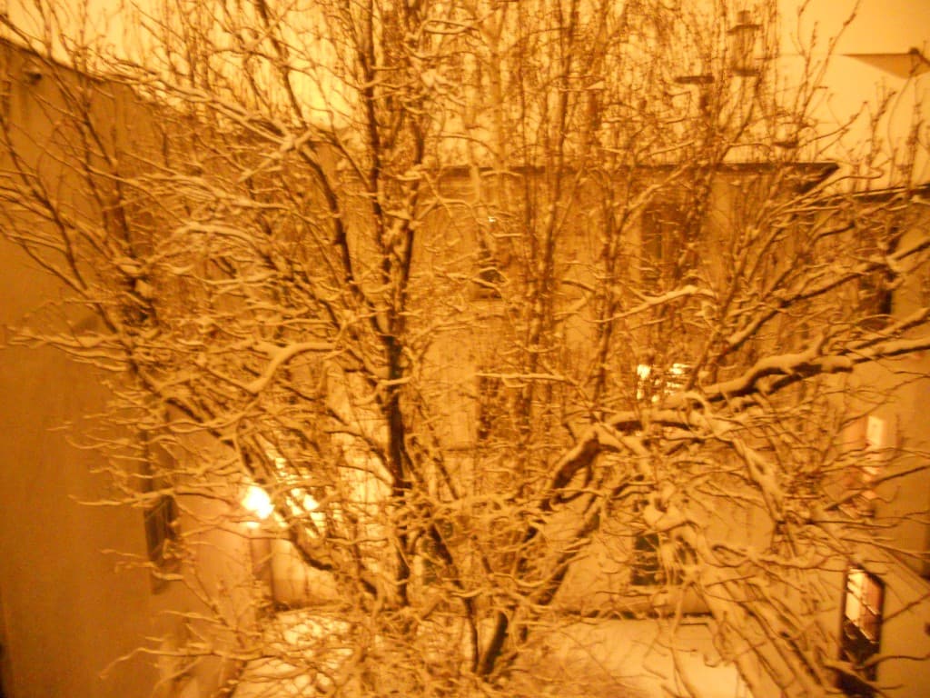 Rue Saint-Blaise - le 18/01/2013 à 22h10