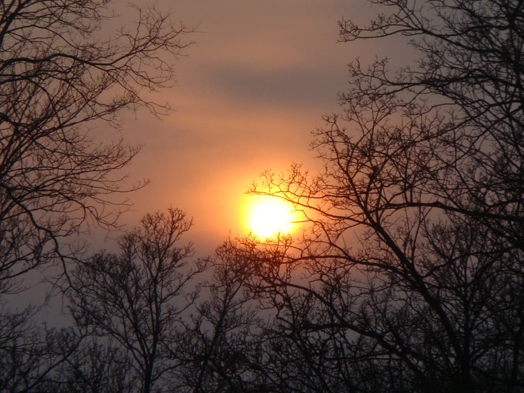 Soleil de Printemps (?)
