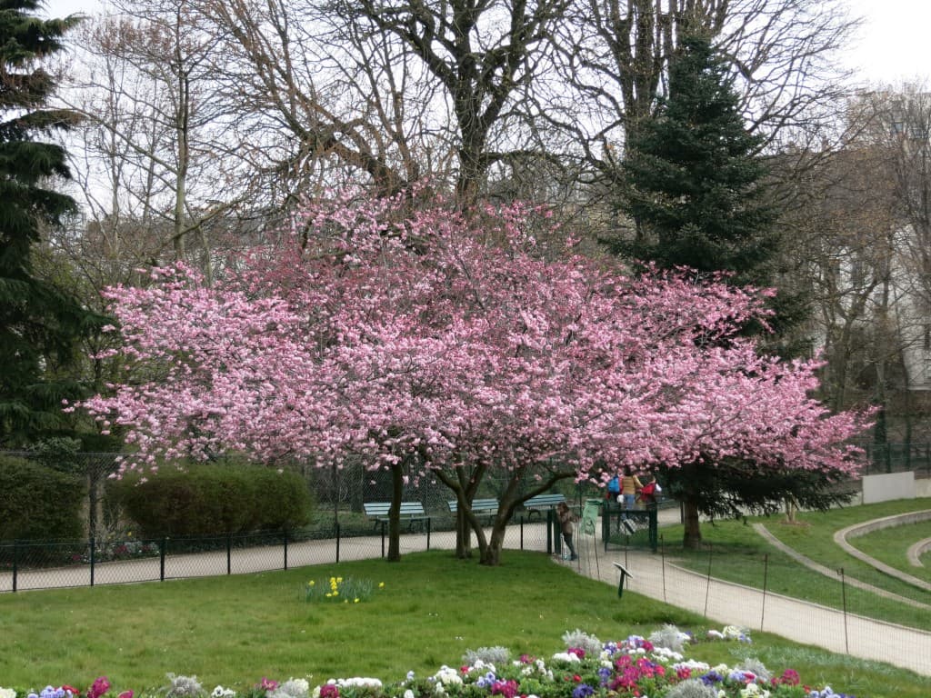 Sortie de classe 