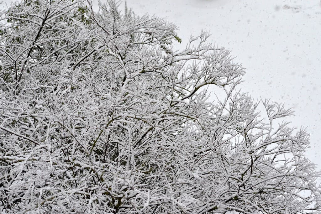 Tombe la neige...