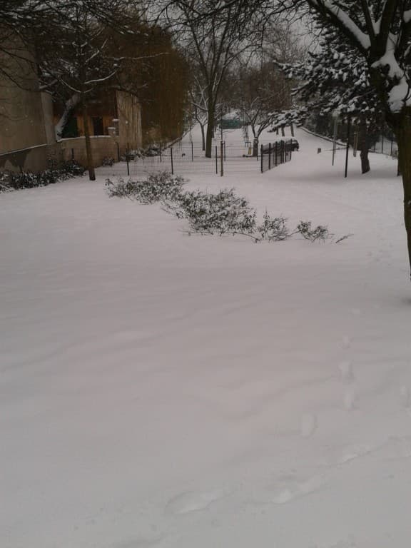 Tout blanc