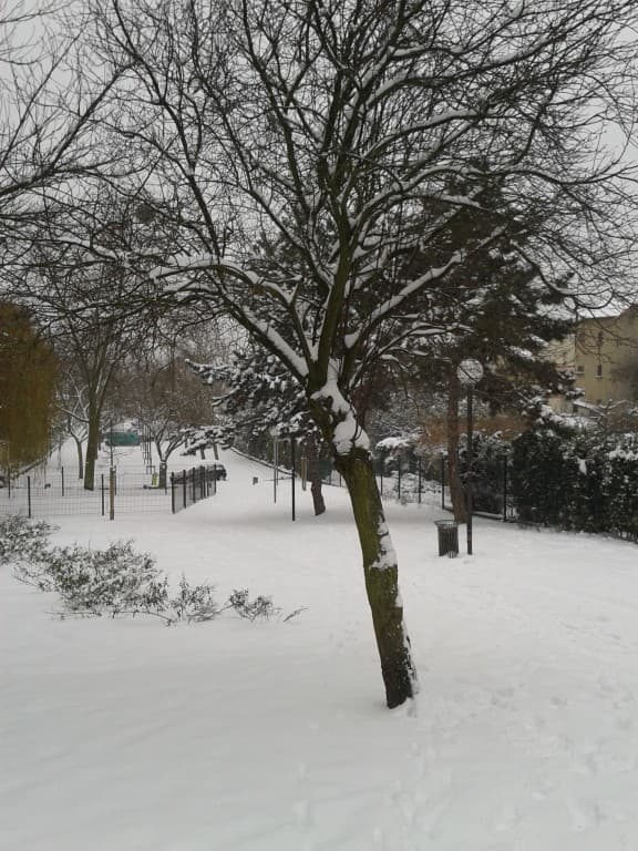 une belle couche
