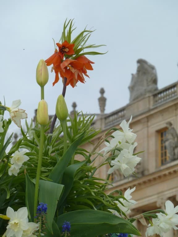 Versailles fleuri