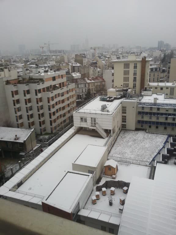 Vincennes sous la neige
