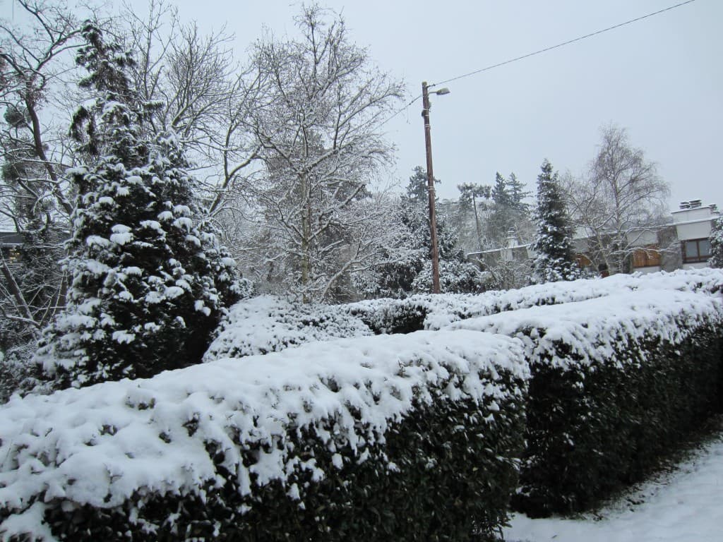 Vue de mon jardin