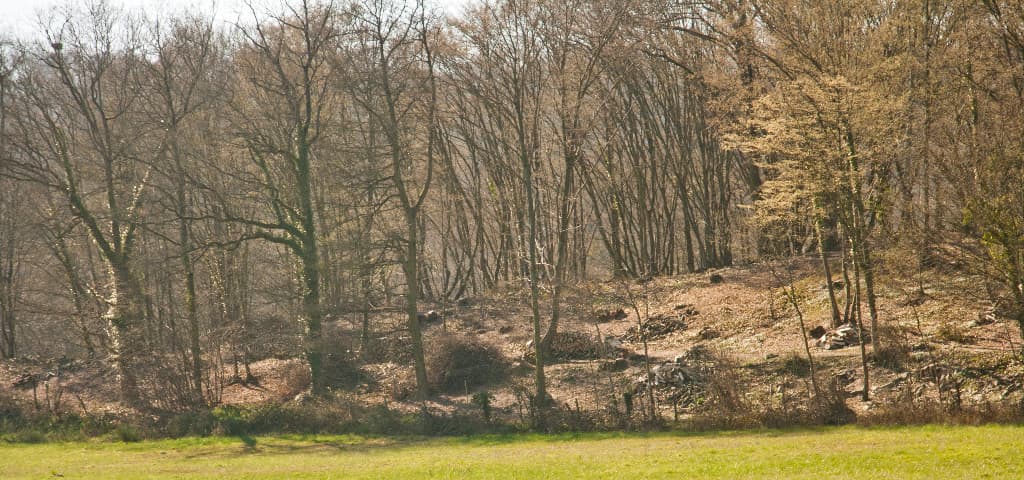 allée tournante 