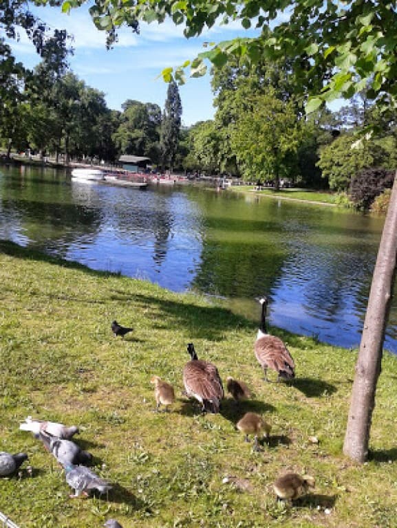  après midi au lac de daumesnil