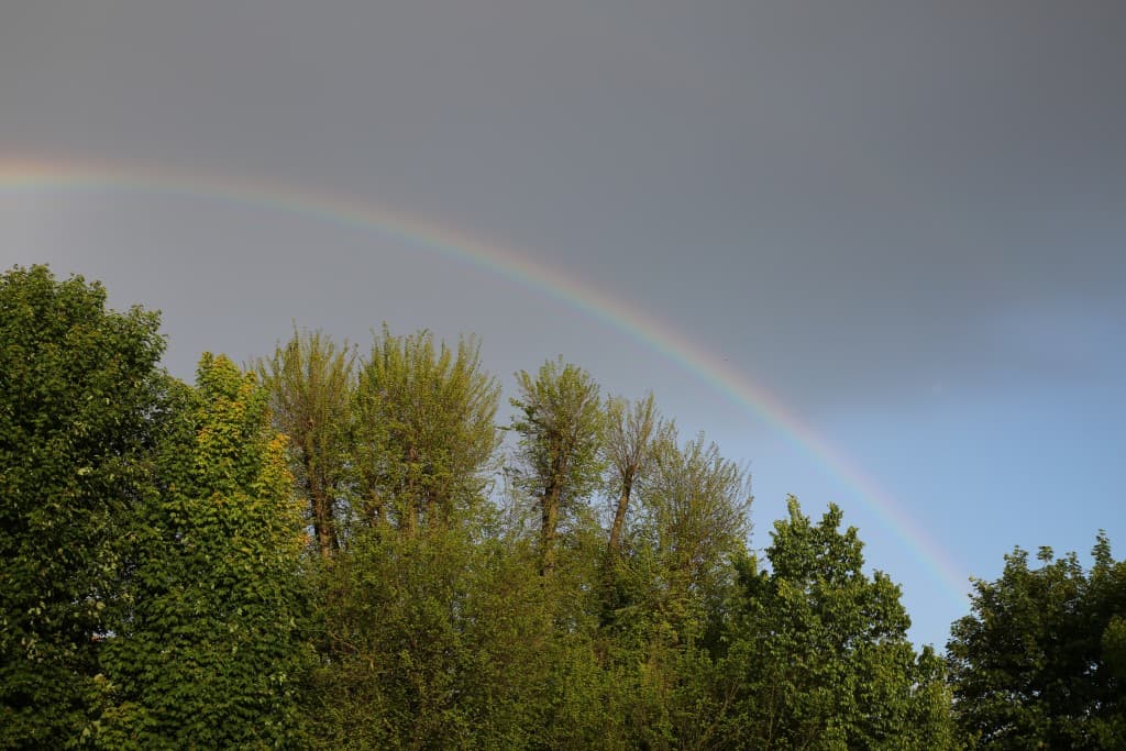 Arc en ciel