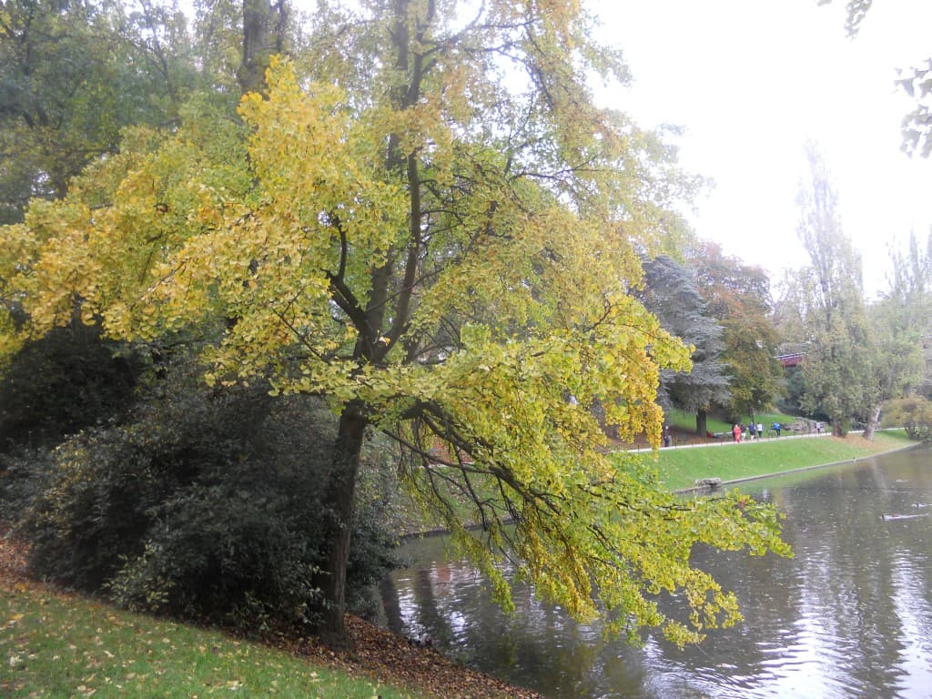 automne au parc des buttes chaumont