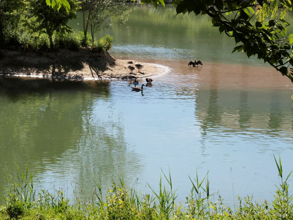 baignade en famille