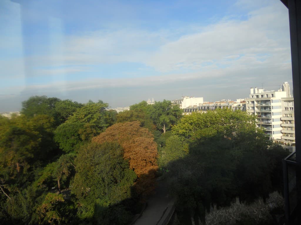 beau ciel sur les cimes des arbres
