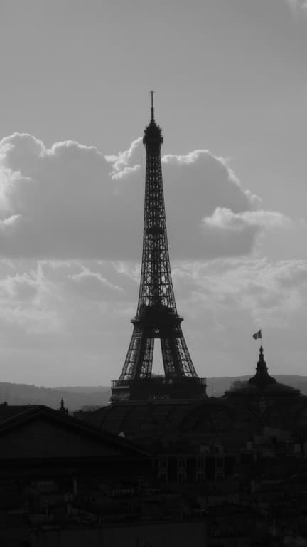 BEAUTE DE LA TOUR EIFFEL