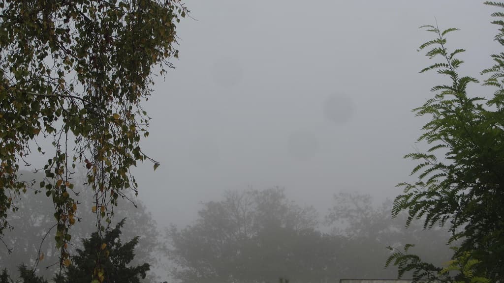 Brouillard sur 92