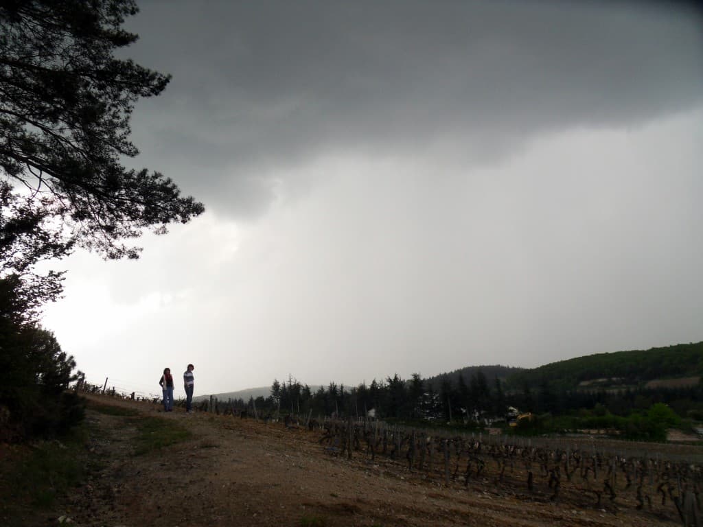 ciel d'orage dans les vignes